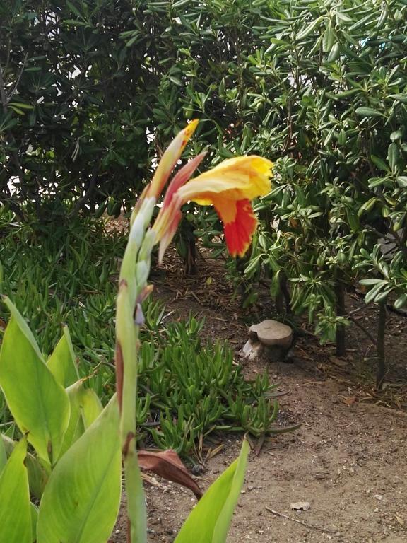 Villalba 卡斯泰拉马莱 外观 照片